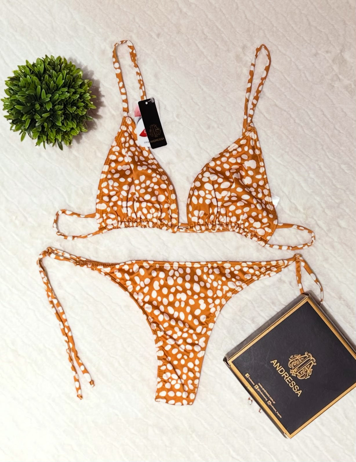Malla Bikini 2 Piezas Triangulo Y Cola Less Andressa 21020